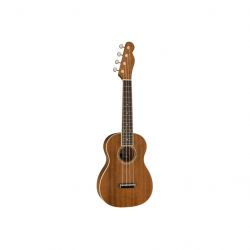 fender 227750