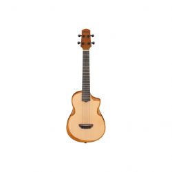 ibanez 234984