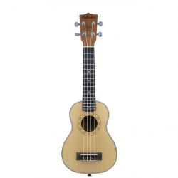 parksons uk21c
