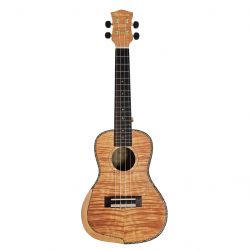 parksons uk24ms