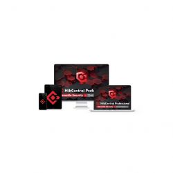 hikvision hikcentral p acs 1door