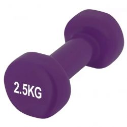 powerplay pp 4125 2.5kg